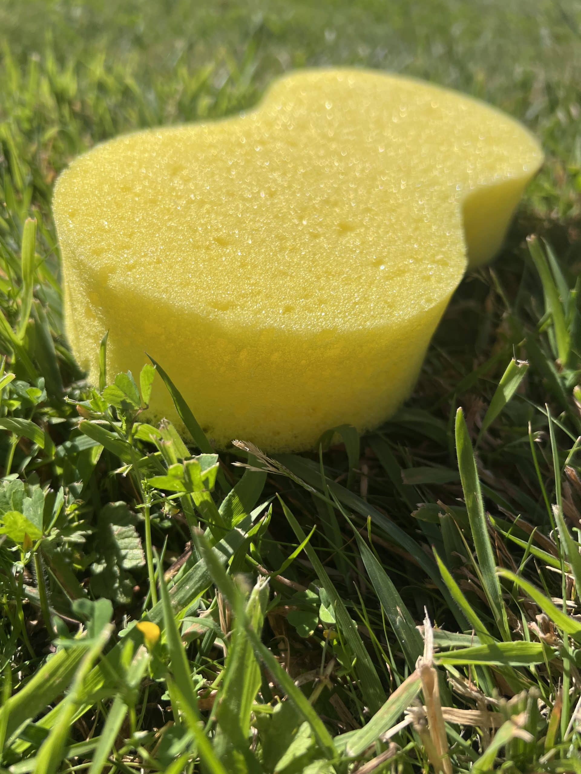 une seule éponge allongée au sol