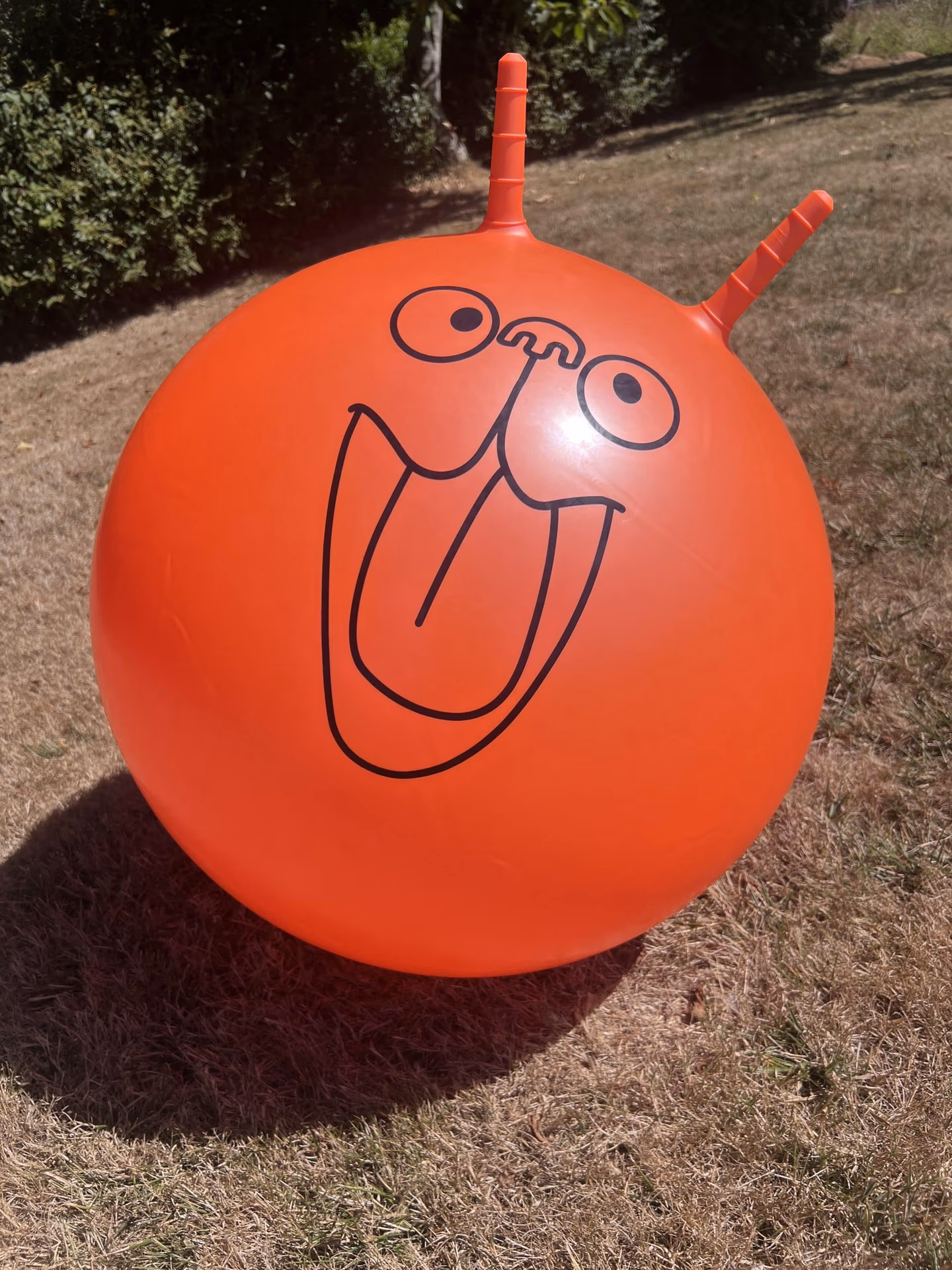 ballon orange avec deux poignées
