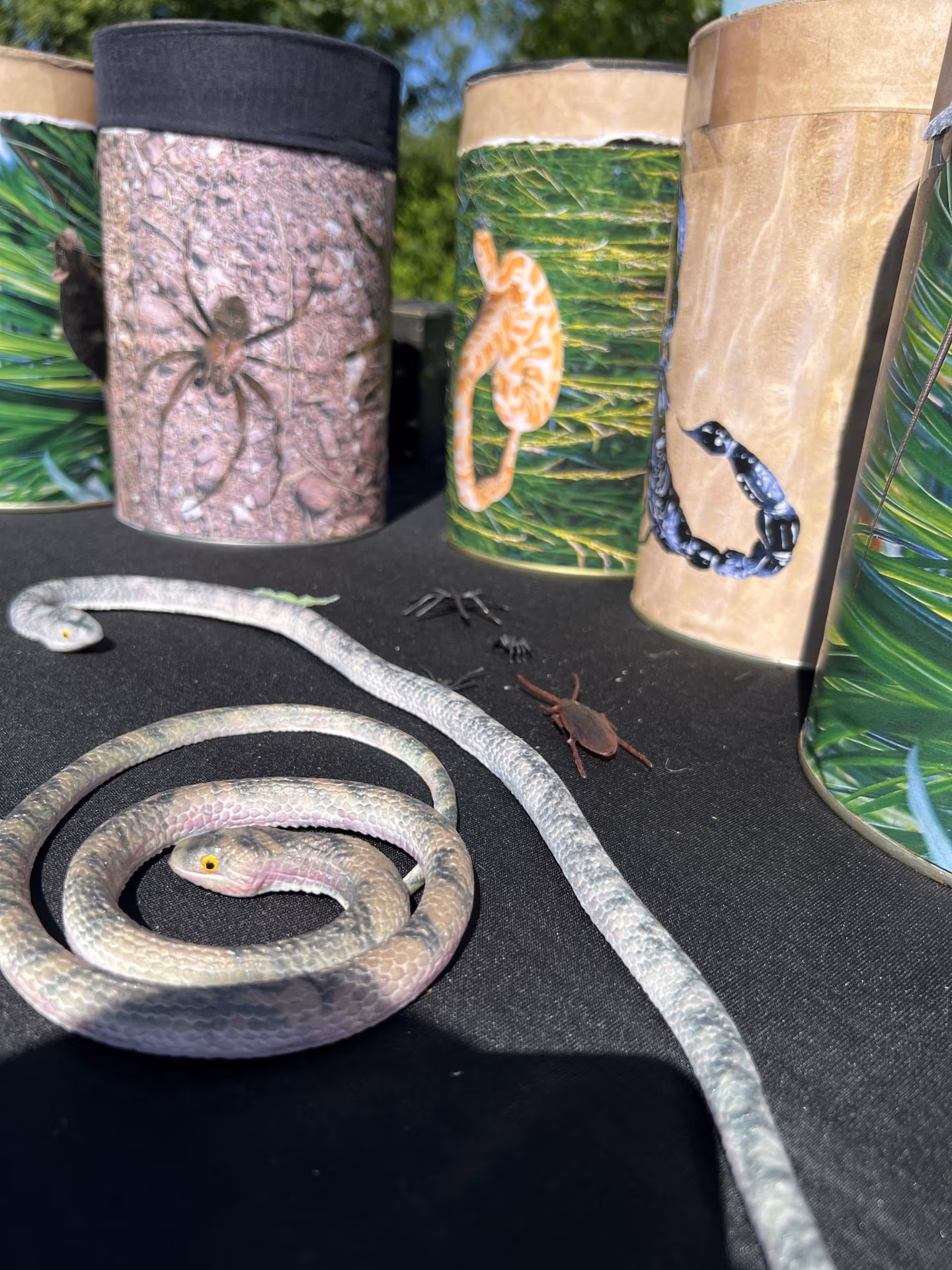 les boites mystères avec des serpents comme décoration