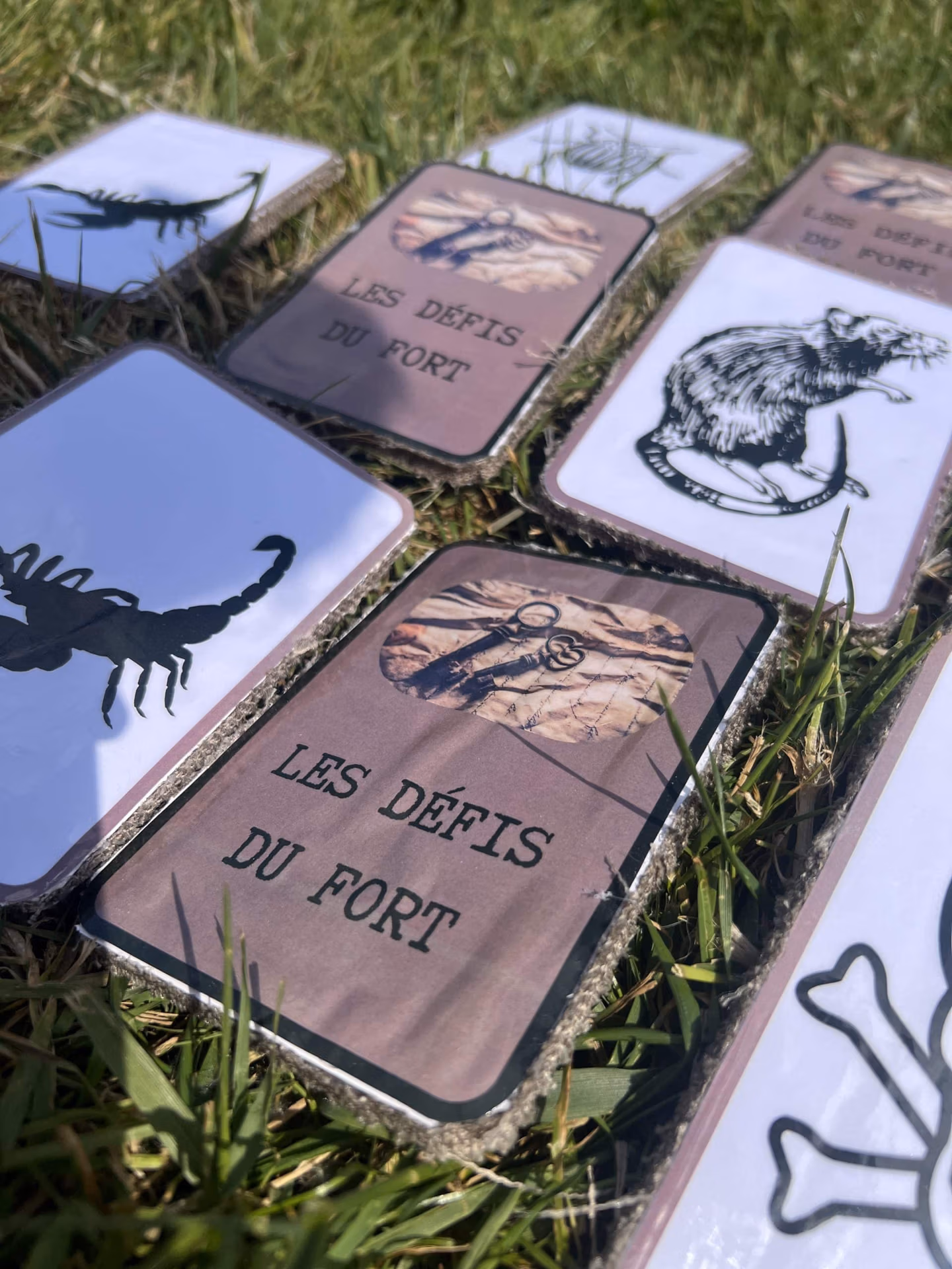 Jeux de cartes avec animaux et défis du fort
