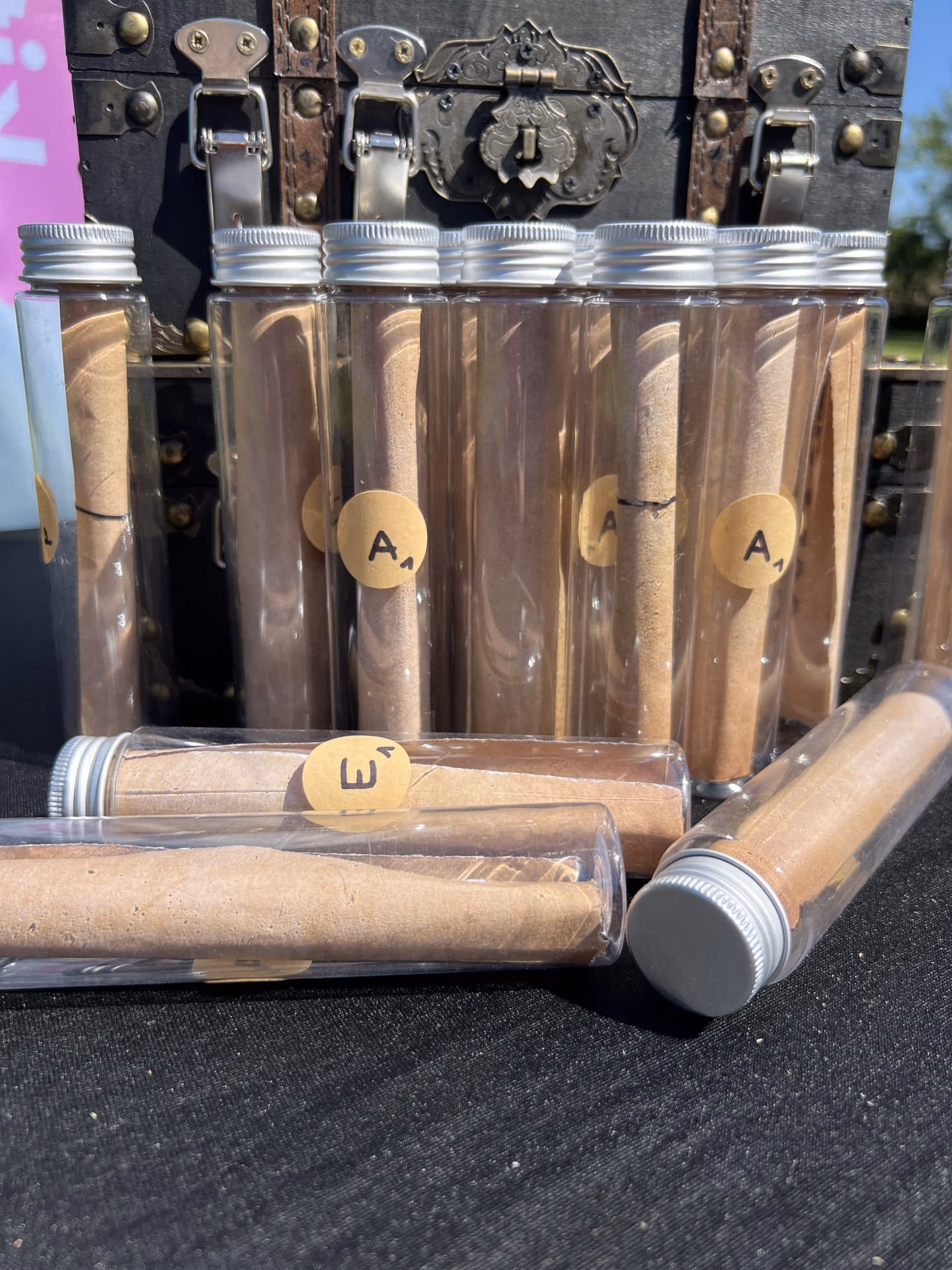 lots de tubes transparents avec des indices en parchemin à l'intérieur