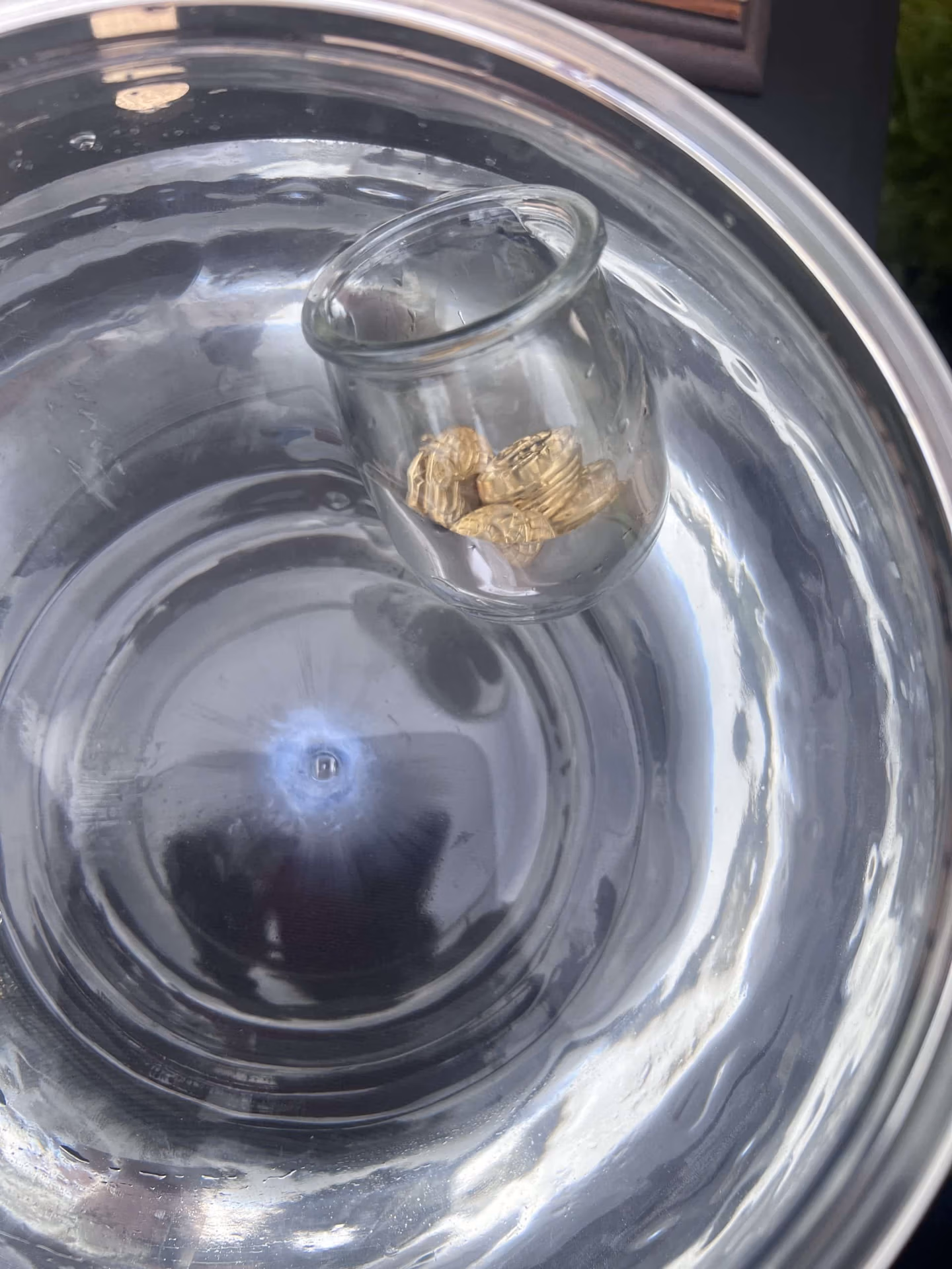 vue dans l'aquarium avec un contenant en verre et des pièces dorées