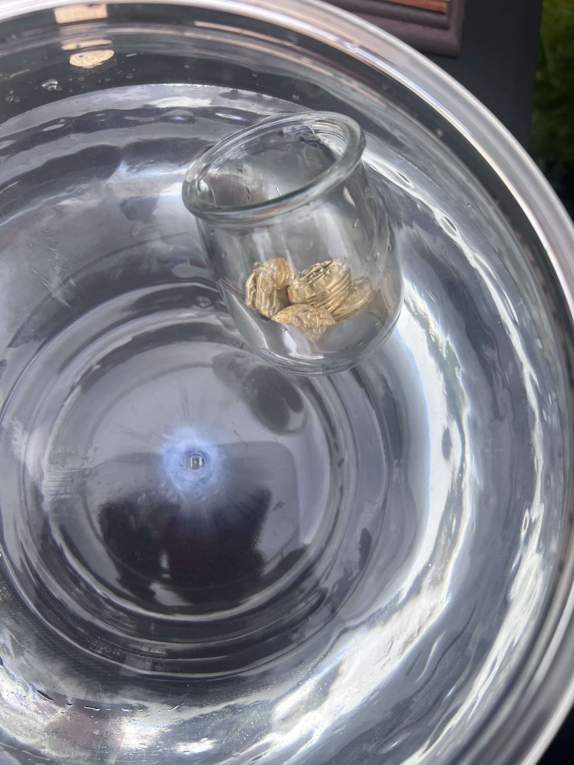 vue dans l'aquarium avec un contenant en verre et des pièces dorées