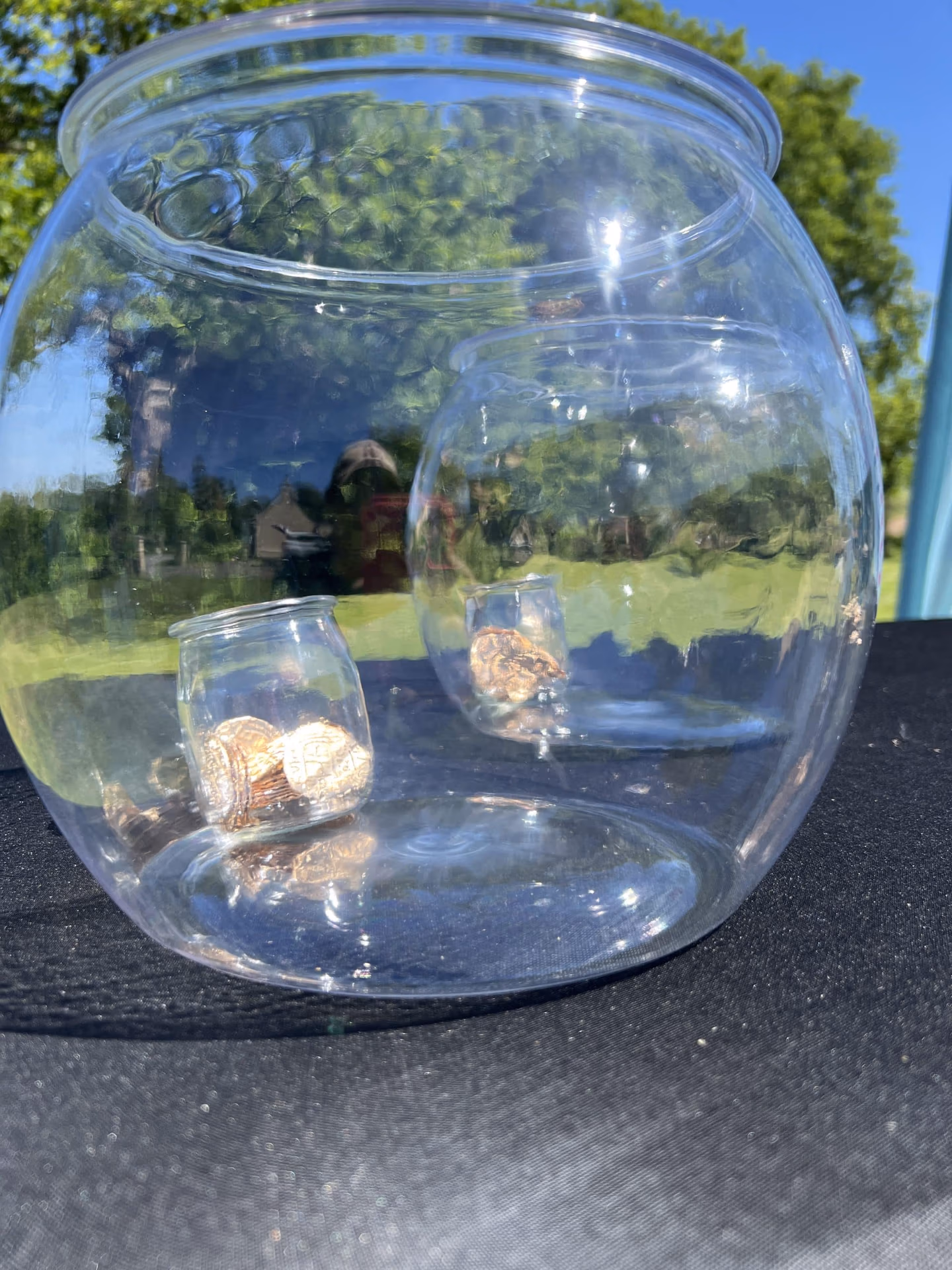 Vue sur deux aquariums et leur contenant en verre et pièces dorées à l'intérieur