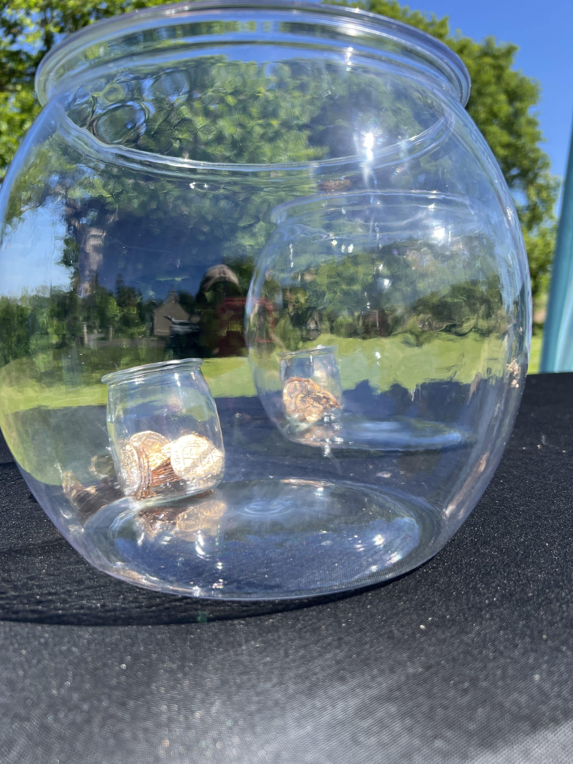Vue sur deux aquariums et leur contenant en verre et pièces dorées à l'intérieur