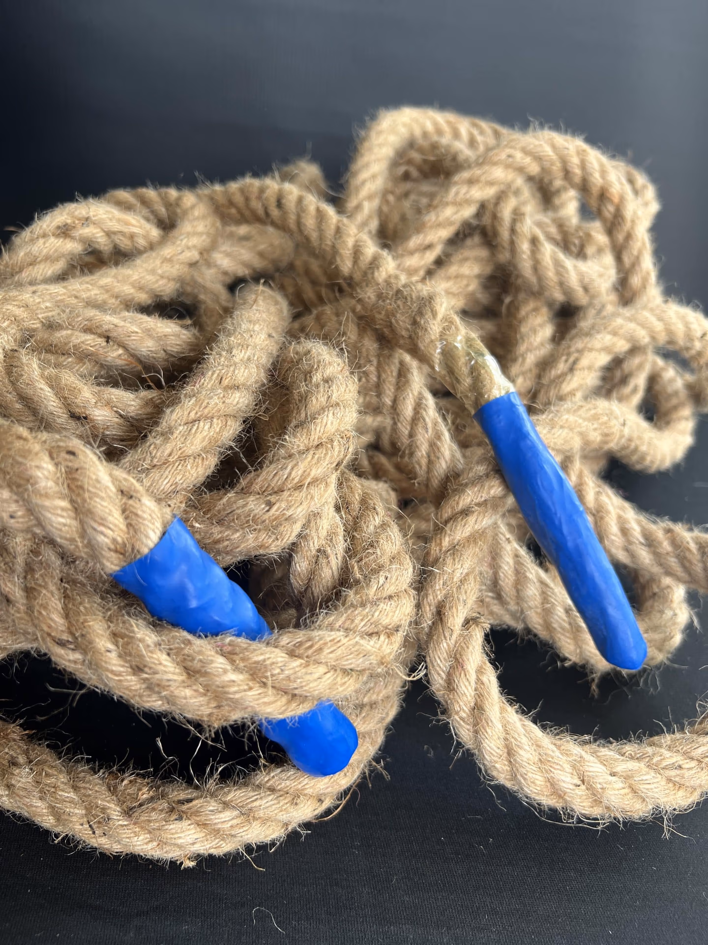 Corde en jute avec les bouts de corde en bleu